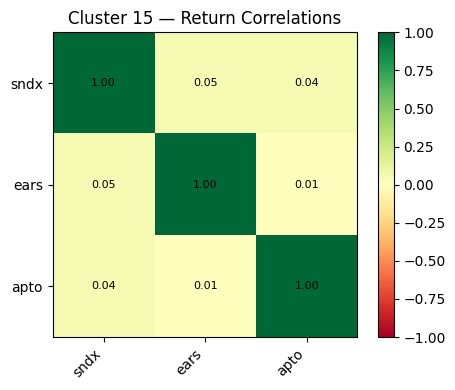 DBSCAN Cluster 15 return correlation heatmap